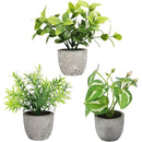 ffffff2ffbeffc4ff81ffe9ffe3ffe3ffe3fc7d1e9c190c1c7c5e1e3e1e3f3e30000000000d53b000000190000460035