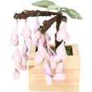 fffffffffc3ff027ef1ffe1ffebffe1ffc27f167fa7ff00ff88ffc87f807ffff00000000000019d5001516150000df1a