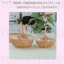 fffffafffeadffffe001e011e005e001e001e007e201e003f001ffffffffffffe2e2e2e2df9c454edf4e0947df1c211e