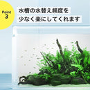 fffffffff26ffffffffffffffffffffffffbffecffa0ff00fd00fe003800f00190908f8f28909a928e004a00906b4d4e