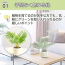 000002080000ffcfd6f6d69f679fff9fab8fc18ce3a4f7a3feff7dffe7ffeff837373737003300369b12bcaba42117a4