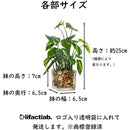 fffffc3fffffff7ffffffe5ffe7dff17fd1fda3ffe3fcf7fffffffffffaffa070000000000002b000000440000000000