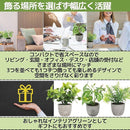 00001364ebf9e0ce3b8da4c9a3fffffff96fffff01ff1066002419e505f5ffff3e3e3e3e33419c9c3838003800003f41