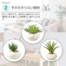 fffffffffe67fffcdb7ef8f2d1c49c38fa3ffb3fb9dd8c52e6b3fdf2a41bc023000000000000eb9c00eb3aabd5bc152c