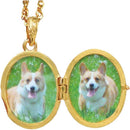 ebfffbffe7fffffff7fff7ffe7e7c1c1818188109810b00080008080c181e3c300000000001d00000055004b00782084