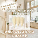 dc03ff41f74bbf48c201e101d0fbdffb9ff8df5e8f788ff88ffc88ba400119bd1f1b1b171c1a1c1e18441d6b1b1b121c