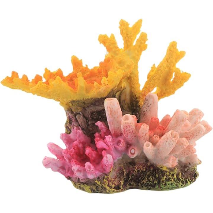 鑑賞石】 珊瑚 サンゴ 化石 Fossil Coral Reef