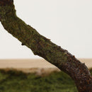 1fff1fff1fff0fff87ff81ffc1fff07ff81ffc0fff03ff810080000000000000061a1a242423241a1a17221b1a18170e