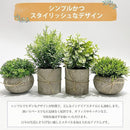 ffffc081cc61fffffffff99ff00ff04f8080801080808890ffdfde1ffffffdff2b2b2b2b2b1c2b2b003622352b2b332b