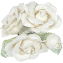 fffffffffc27f147e007d231c34bc017c04fda81c185c001c009c53ff8ffffff0000000000202b24002d350000322400