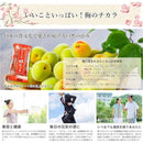 ffff9fff7fffbff196f18890800080f8c03984ddffffbee0ff61ba649f7dffff