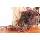 ffffffffffffffecffc0ff80ff80ff80fe00f820f880c00000000000ffffffff000000000000151cabab15390df5ec0e