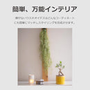 ffffffffe6f7effff75ff027f03ff07ff03ff07ff07ff03ff03ff02ff20ff00f0000000000ebebeb000e2e00000e2209