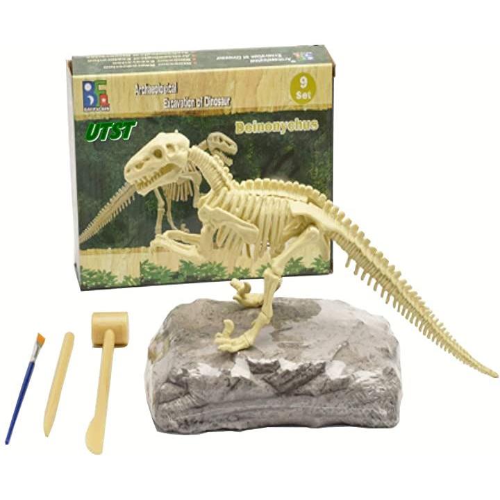 エオラプトル 2種セット 恐竜ラプトル ヴェロキラプトル 小型肉食きょうりゅう 化石発掘セット