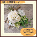 00005a7f5001710140834d6d5fe57fa16f8167817a217e0553897fbf7fef7fff010101010125101001221d21010f1c13