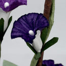 01e321e38fe39fe3fc0318075007600720c7604f7e637e677f4f7f9f7f1fff03c8c2a2092ba2ba2447b9b23735a24b92