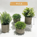 fffff80ff80fffffffe7ffe1c6c5cc6184638063c803840f841f8e038e1ffe1f2b1c221c2b3333332b3d351f2b244124