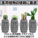 0003a09ecc7ffffffffefffcfff5c9c9ccc988888888888888888888df6ddffd92929792c7abc7c7f5c7c7c79592a2a2