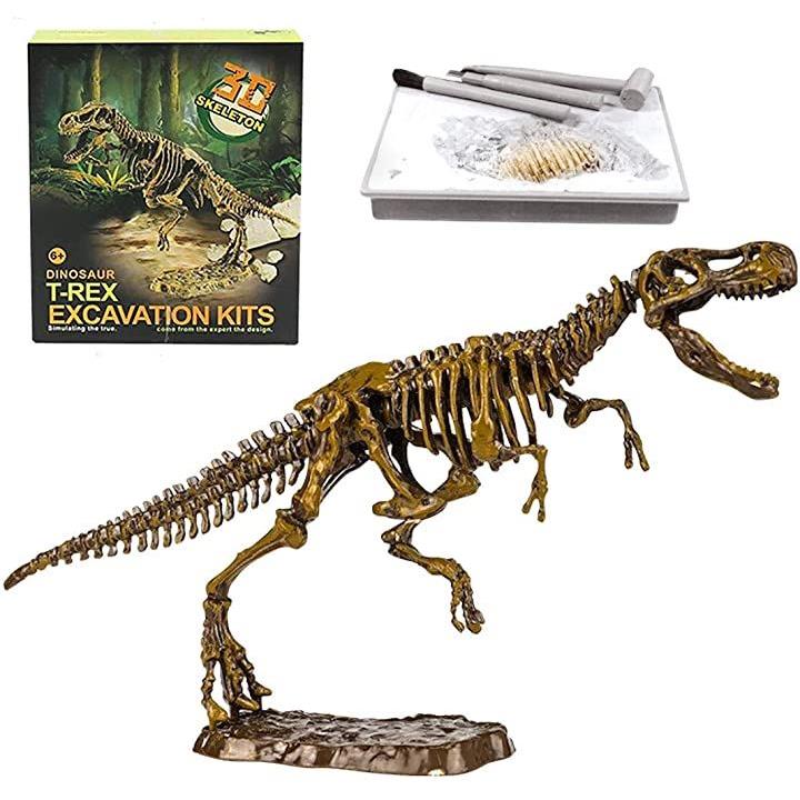 恐竜化石発掘 おもちゃ 発掘キット 恐竜の骨 T. rex