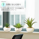 fffffffffffffffffbffc7ffc7ff42bf42db42c24213e4333b9c037a008000000000000000890000828380337e191c12