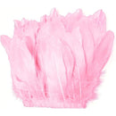 ffffffffffeffe01e001e8008080c080c881c981c183c003c103e003f107ffff0000000000eceded00eaecec00edeeef