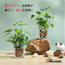 ffff1fff1ff73fbf3f63ffdffdcbffcff3cfe3cfc10ff254f207f60c1baefff85d5d5f616262444b5d3f6969661b1512