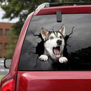 400081078a0097ffe7ff2fff0adf8f7f90f0307011a0c010e000efffb7802000