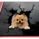 ffffffffbfff9bffc1b7808703cf07f706b0077006b00ef00058000000000000