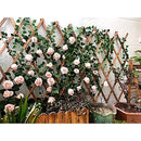 afffedfff5ffefadf125ab55f454d824810aa8076a08008d220f0928009c1020