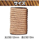 000003a21108f81ffe4ffccffb0ffe6ffacffa4ffd0ff88ff60ff18ff89fc19f