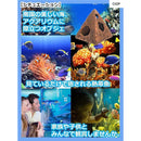 ffff8601d104feaa904a9f9681789809dea0ce88e7808f02ff08fb02a9e1d9ef99999999999da40f991432139990942e