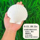 0000018003c00fc00fe01fe03ff03fe03fe03fc03fbf1fbf1e293e3f3e377e275d5e5c4e609233555e151e515b0e56c7