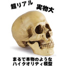 fffffe7f9fc3fe3ef01fe007c0038001c00bc003e000f001fe03ffffdb6dfb610000000000191e1c001e171c0000c91f