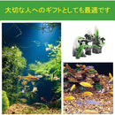 000001050000ffff817f8273807380e380ff9300c60080888009804ec055b04e5454555400968f00008f370000694f15