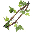 ffffff8dffe1ff97f9ebf8ddf847ffe9fedfedbfe0fff6ffe47fc65ff71fff3f000000000000000f00000000003c3700