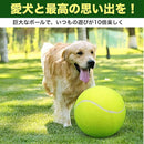 00003924ffffffff4bbf7fff7eb7395700600538553e8e7c837d9f005800000055555555342e57573f3a1f36323b2e2f