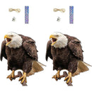 ffffffffdbf7fff7fbf7ffffdfff93b3818381818101c1c1c0c0f1c3f7d7ffff00000000000000b00010000c00220008