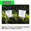 00ff28ff00ff8000800084309e3cdf3c8e398094800080008000ffffffffffff5c5c000000471c2b002f2bae003b1b2b