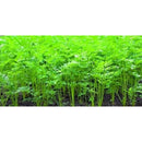 fffffbfffffffffffdbff37ab3b8939d4618d018c05041201000cc19080240006e42444b444245444142464b453c424c