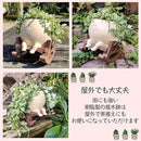 ffff808084a4cc9d8c9888f680c08080ffff99ff9cefbcffcbebc4c7f0ffa0f8fe0202fe0217fe150202fe0202120207