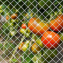 84004001a0029004798c54d332f651f8169c015f82bec5f04f48d8246222de616b40374b2e9529803435a0132c801a80