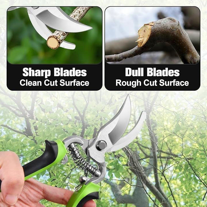 ffff9efc9efe88f080a0808080808080fffffffffffff5ffd5b0459050e7d8a63744393947375eb39c4e40360cab443d