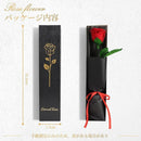 fffffbffdbfff9c7f1c7f1c7f1c3f1c7f1c7e1c7f1c7f1c7f1c7f1c7ffffffff000000000000000e0000000000000003