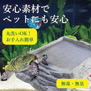 00001c000680025000b002005604621c00ff0bff13ff1d7f777ffdffb8bffda7a5a59f959f9c8056a45eab97a255ab9f