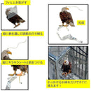 ffff83ff9fefcfe7c7e5ffff80dfffefffffff81bf808080e780ff80df80ff80008000000012000700000000001f0090