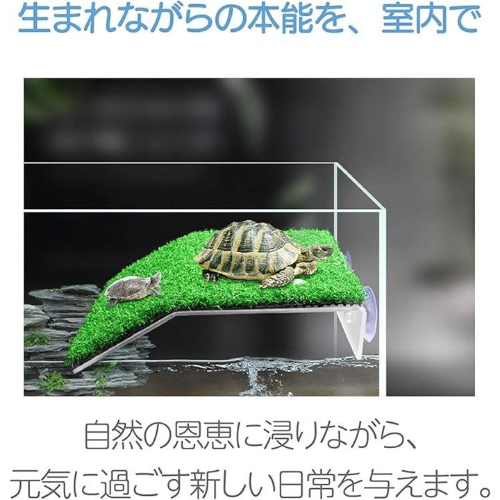 ffffcf19ffffffffc001c001c011c001c141c061c015c007d001fdb7fffffee70000000000b355000000690000321c9c