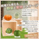 0000000d677d152537fb17e724ff07fd27ff7d7f71ff797f696f681f7c12039c121513171629291217101418173f1620