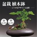 80008880aa808000800080e48fb6803080b0ee20a820c050fc00ffffeffff0019c9c9c9cabab9c9c09f5392210254100