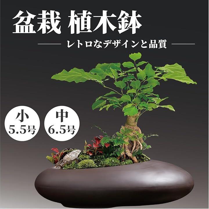 80008880aa808000800080e48fb6803080b0ee20a820c050fc00ffffeffff0019c9c9c9cabab9c9c09f5392210254100