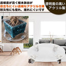 ffe0ffe4fff2000081ff81ff81ff81ff81ff83ff41407c7e57ff0ffffffffe82